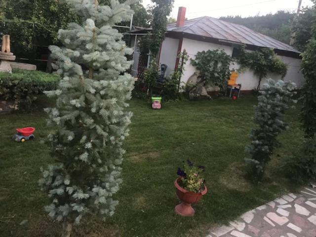 Casa Matetovici Villa Greci Luaran gambar